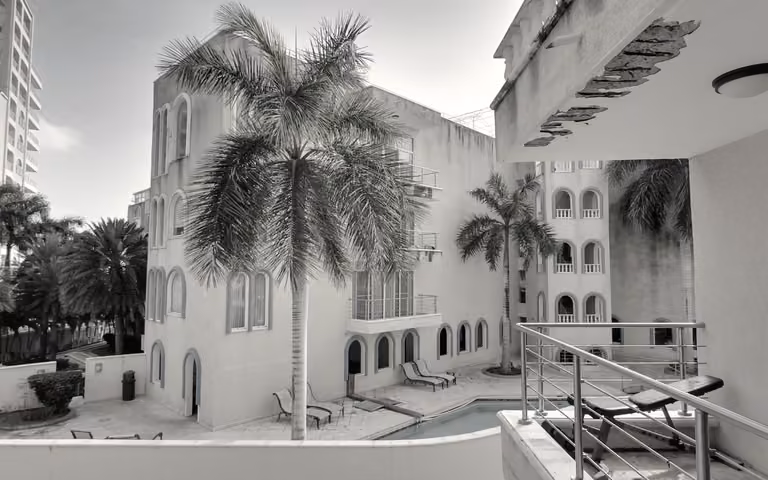 The courtyard at 149 Rhine Road, seen from the IFM terrace.